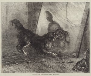 Riflessioni spiacevoli da Percy Macquoid